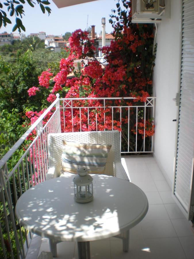 Manolis' House Aparthotel Skiáthos Rom bilde